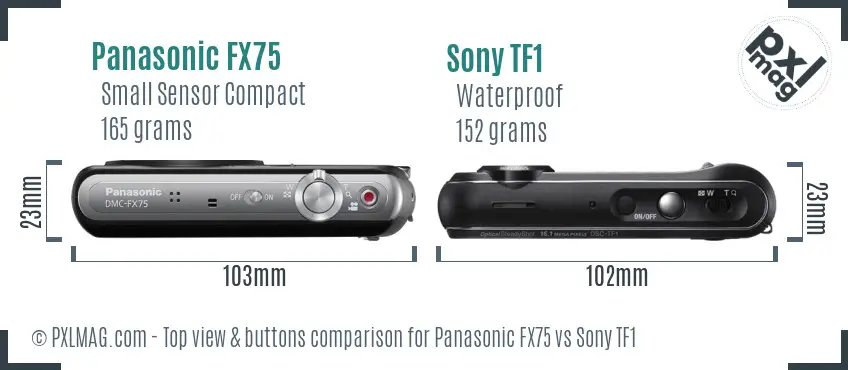 Panasonic FX75 vs Sony TF1 top view buttons comparison