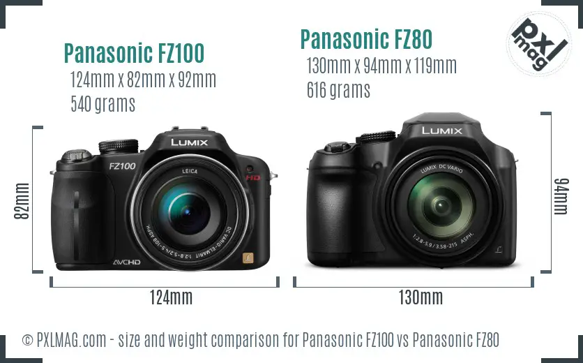 Panasonic FZ100 vs Panasonic FZ80 size comparison