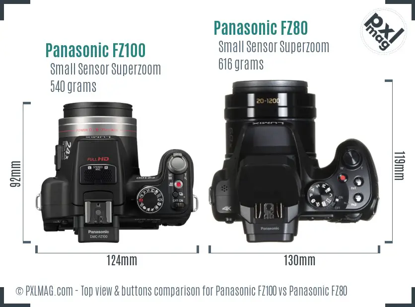 Panasonic FZ100 vs Panasonic FZ80 top view buttons comparison