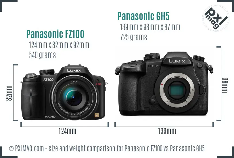 Panasonic FZ100 vs Panasonic GH5 size comparison