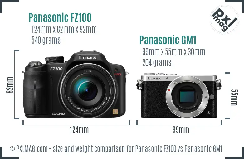 Panasonic FZ100 vs Panasonic GM1 size comparison