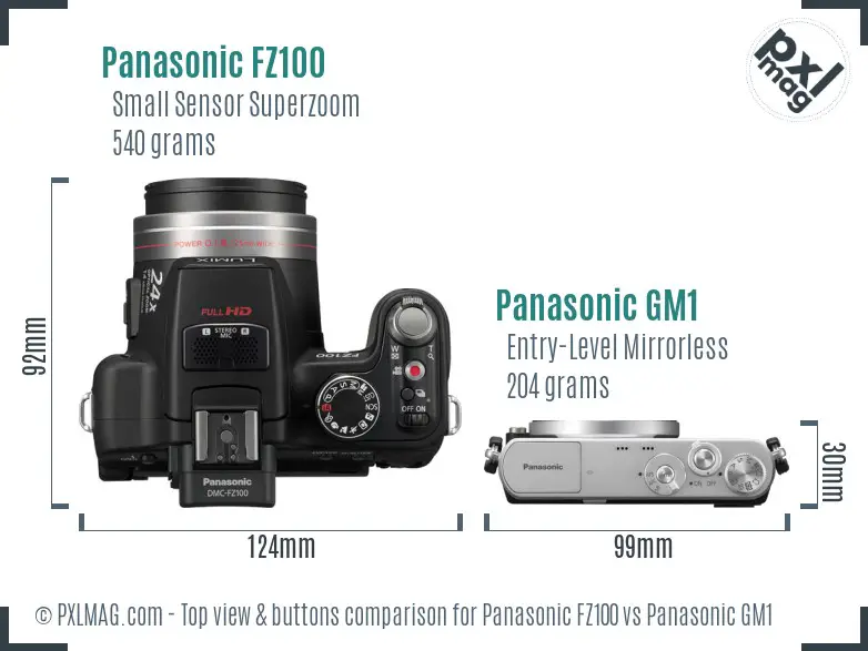 Panasonic FZ100 vs Panasonic GM1 top view buttons comparison