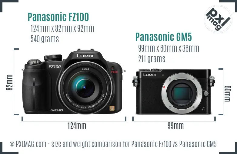Panasonic FZ100 vs Panasonic GM5 size comparison
