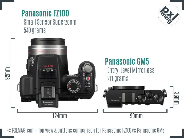 Panasonic FZ100 vs Panasonic GM5 top view buttons comparison