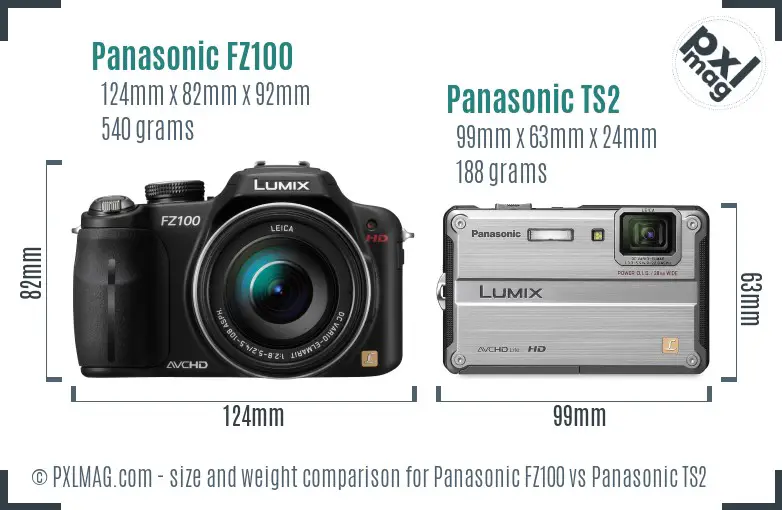 Panasonic FZ100 vs Panasonic TS2 size comparison