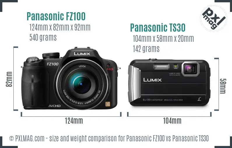 Panasonic FZ100 vs Panasonic TS30 size comparison