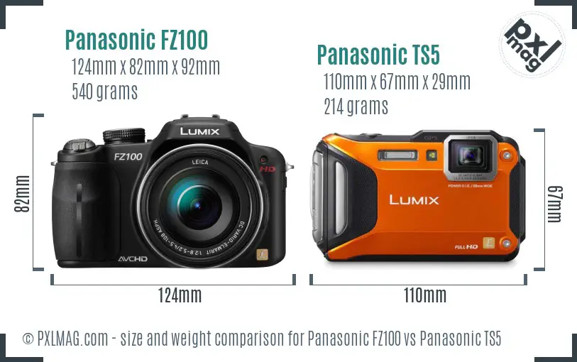 Panasonic FZ100 vs Panasonic TS5 size comparison