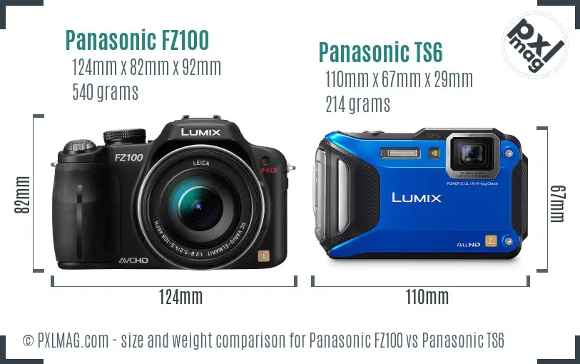 Panasonic FZ100 vs Panasonic TS6 size comparison