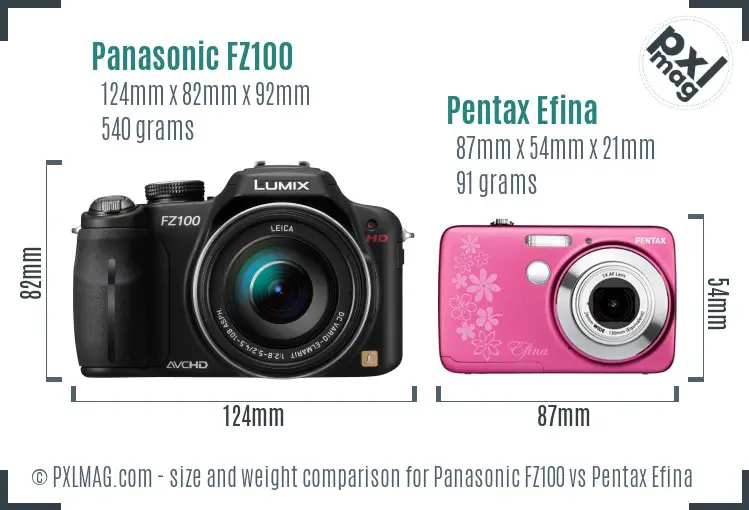 Panasonic FZ100 vs Pentax Efina size comparison