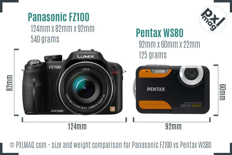 Panasonic FZ100 vs Pentax WS80 size comparison
