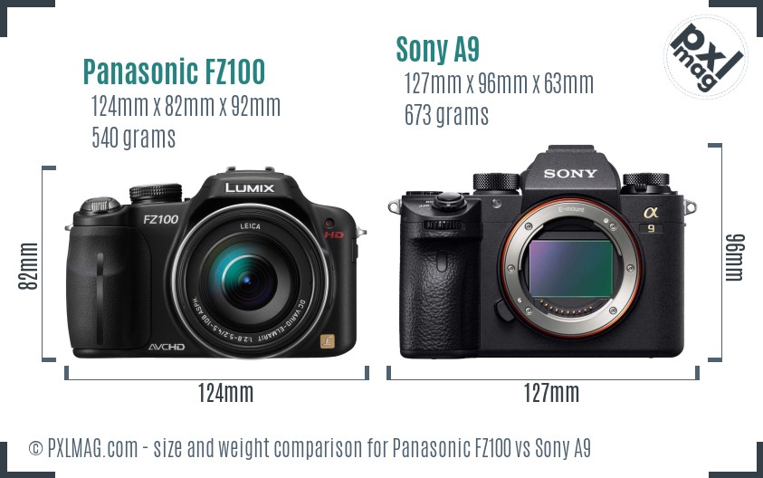 Panasonic FZ100 vs Sony A9 size comparison