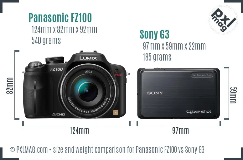 Panasonic FZ100 vs Sony G3 size comparison