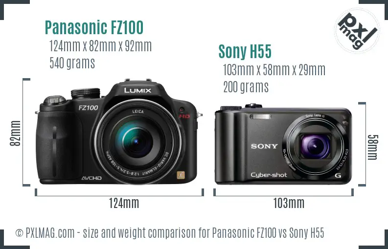 Panasonic FZ100 vs Sony H55 size comparison