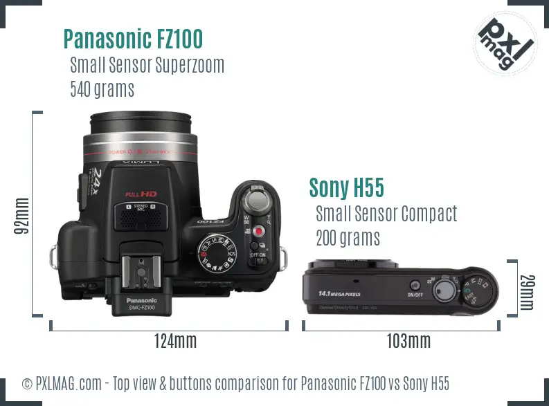 Panasonic FZ100 vs Sony H55 top view buttons comparison