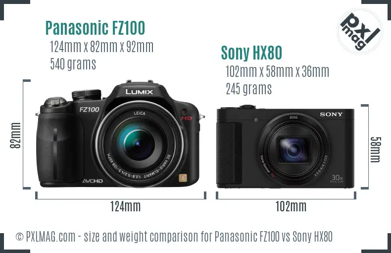 Panasonic FZ100 vs Sony HX80 size comparison