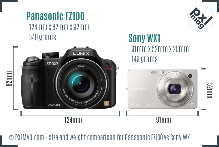Panasonic FZ100 vs Sony WX1 size comparison