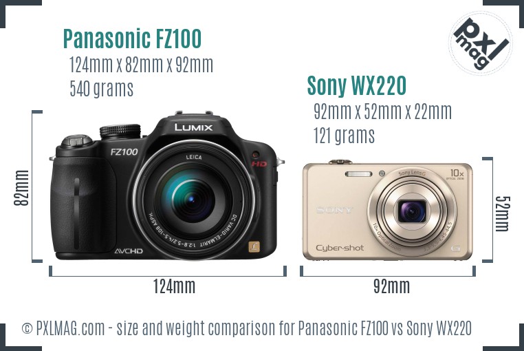 Panasonic FZ100 vs Sony WX220 size comparison