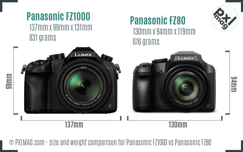 Panasonic FZ1000 vs Panasonic FZ80 size comparison