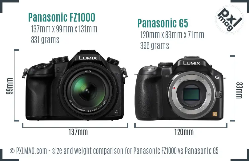 Panasonic FZ1000 vs Panasonic G5 size comparison