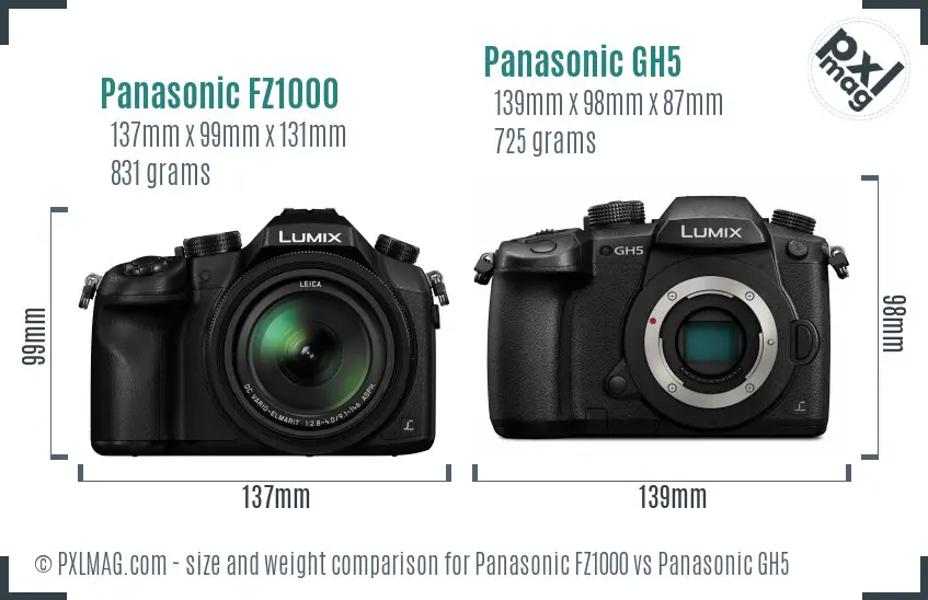 Panasonic FZ1000 vs Panasonic GH5 size comparison