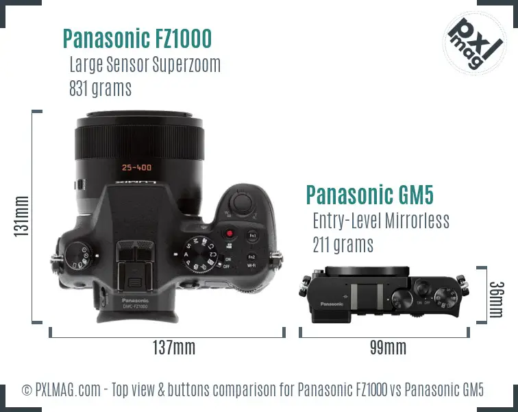 Panasonic FZ1000 vs Panasonic GM5 top view buttons comparison