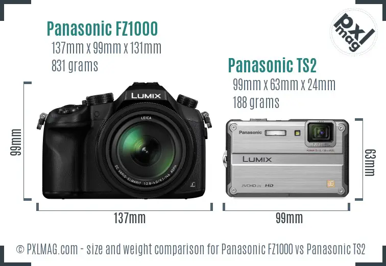 Panasonic FZ1000 vs Panasonic TS2 size comparison