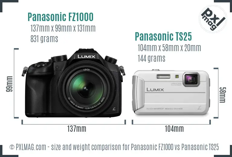 Panasonic FZ1000 vs Panasonic TS25 size comparison