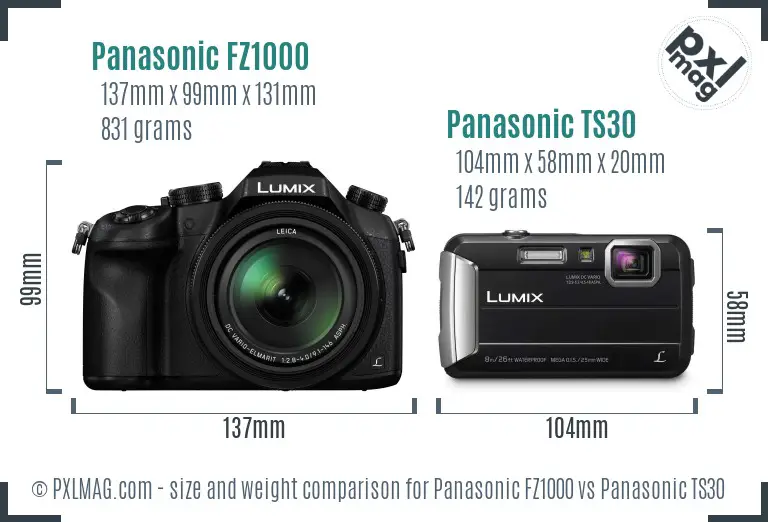Panasonic FZ1000 vs Panasonic TS30 size comparison