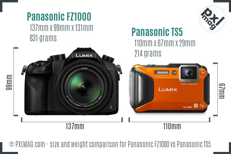 Panasonic FZ1000 vs Panasonic TS5 size comparison