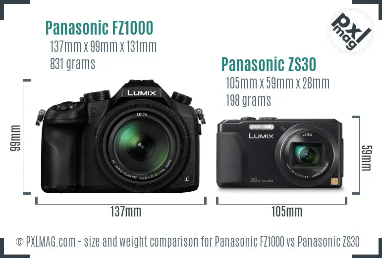 Panasonic FZ1000 vs Panasonic ZS30 size comparison