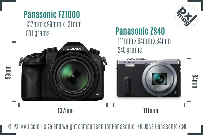 Panasonic FZ1000 vs Panasonic ZS40 size comparison