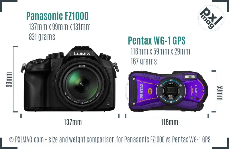 Panasonic FZ1000 vs Pentax WG-1 GPS size comparison