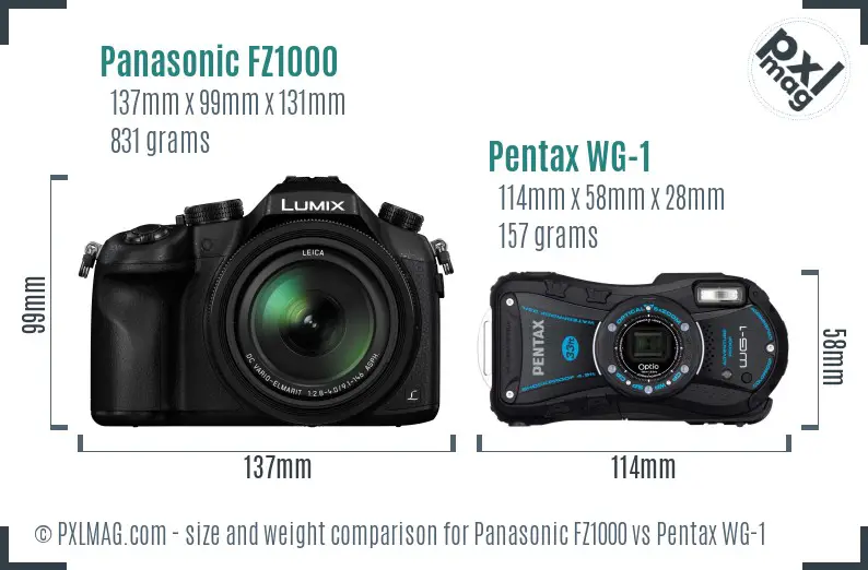 Panasonic FZ1000 vs Pentax WG-1 size comparison