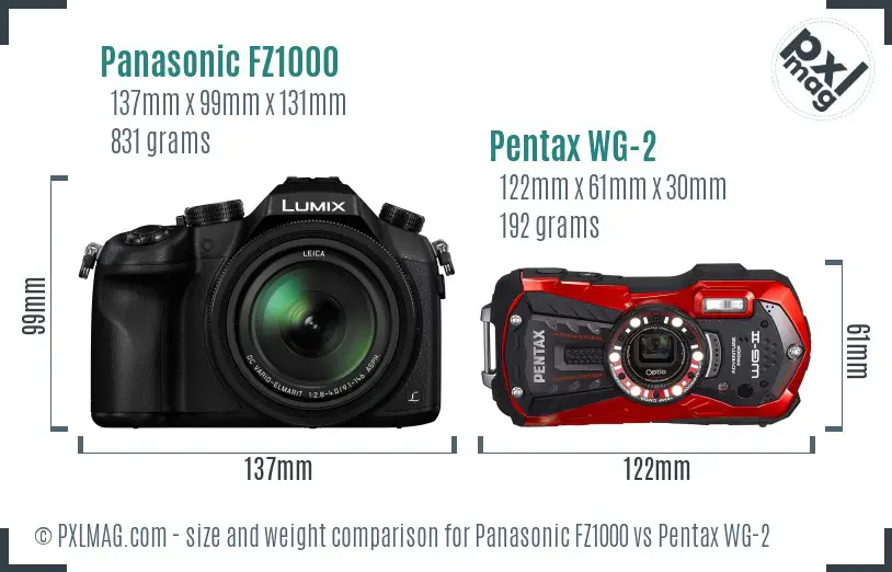 Panasonic FZ1000 vs Pentax WG-2 size comparison