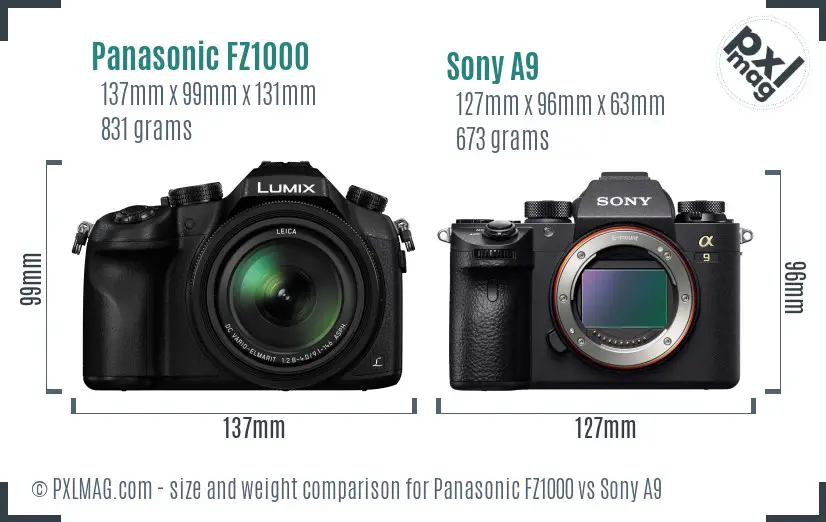 Physical size and ergonomics comparison
