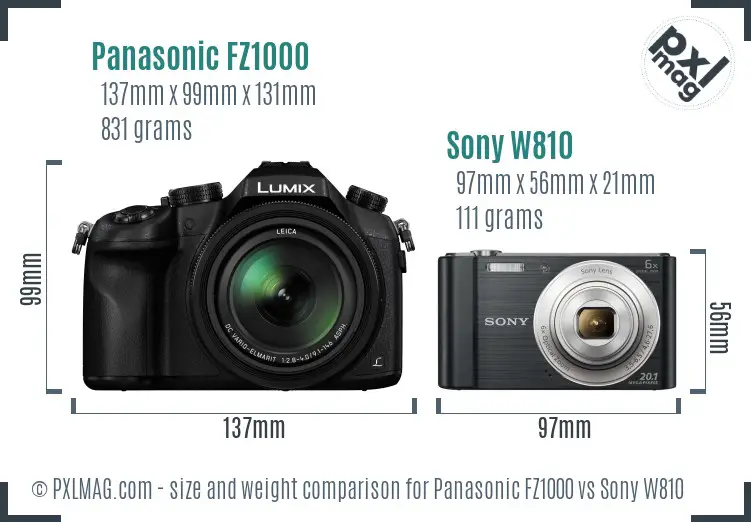 Panasonic FZ1000 vs Sony W810 size comparison