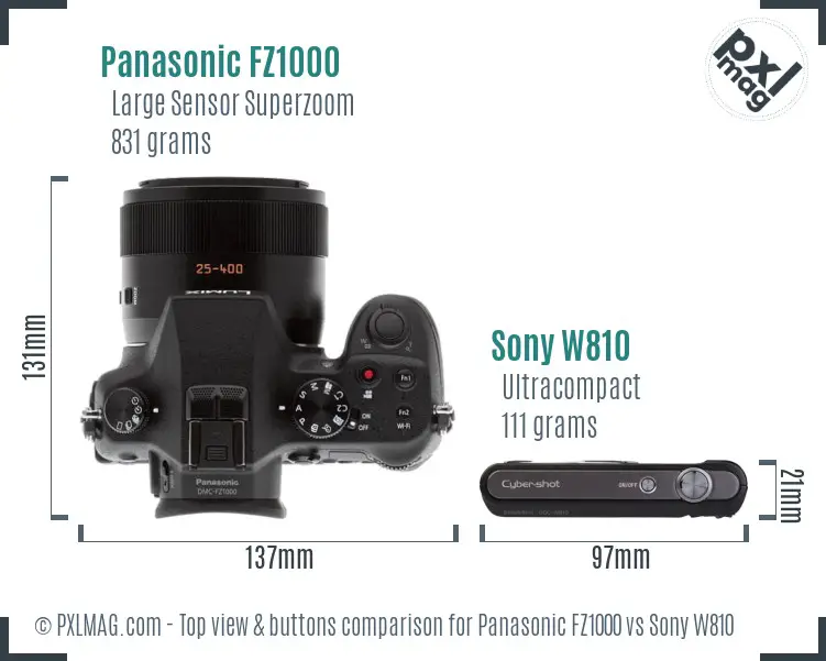 Panasonic FZ1000 vs Sony W810 top view buttons comparison