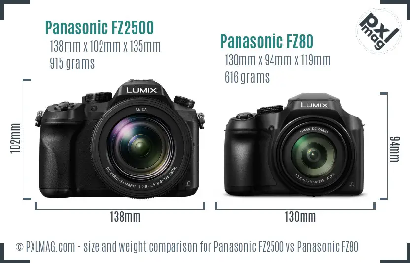 Panasonic FZ2500 vs Panasonic FZ80 size comparison