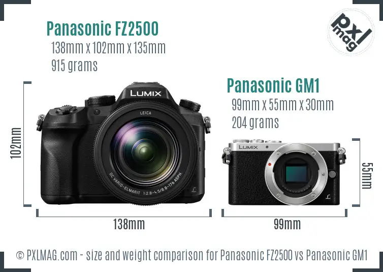 Panasonic FZ2500 vs Panasonic GM1 size comparison