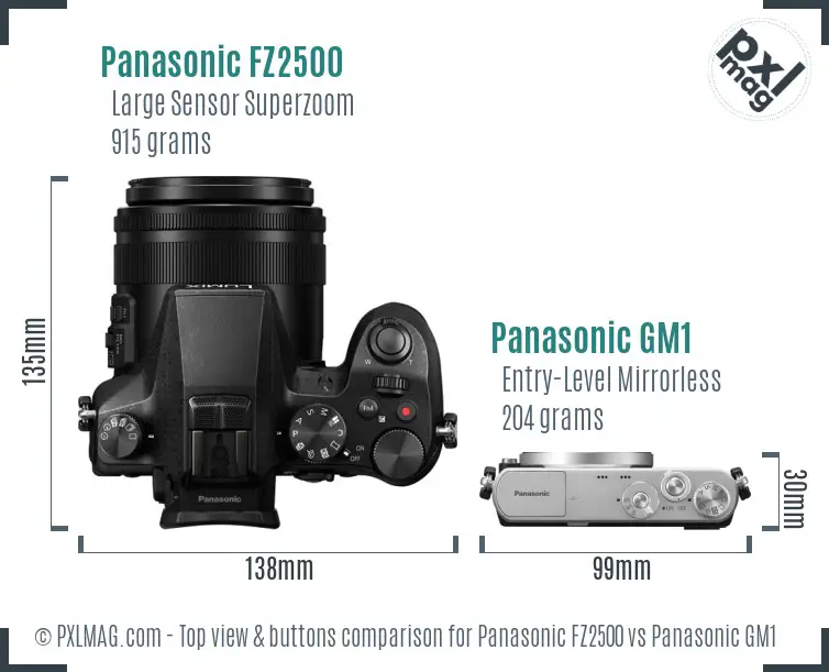 Panasonic FZ2500 vs Panasonic GM1 top view buttons comparison