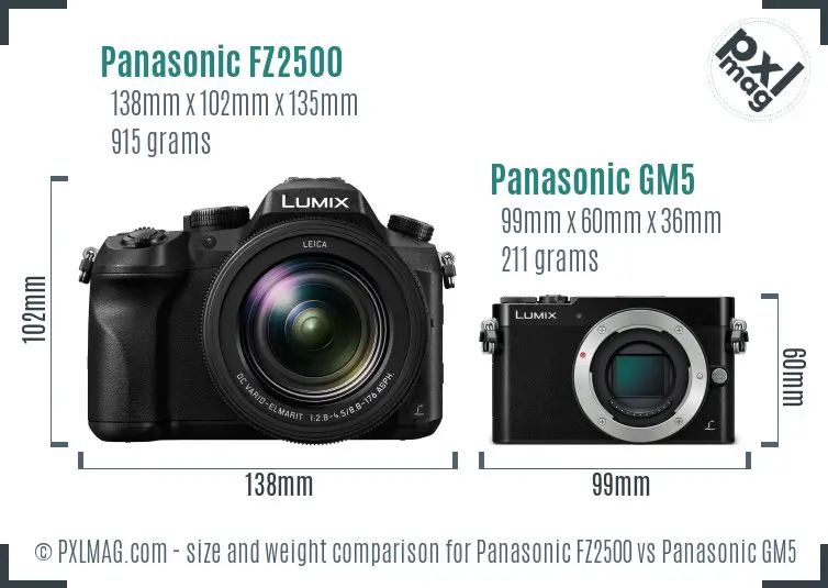 Panasonic FZ2500 vs Panasonic GM5 size comparison