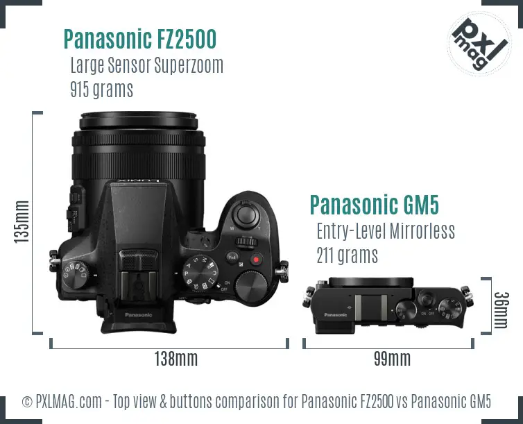 Panasonic FZ2500 vs Panasonic GM5 top view buttons comparison
