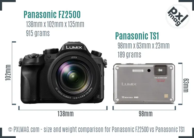 Panasonic FZ2500 vs Panasonic TS1 size comparison