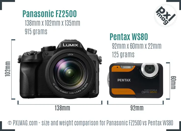 Panasonic FZ2500 vs Pentax WS80 size comparison