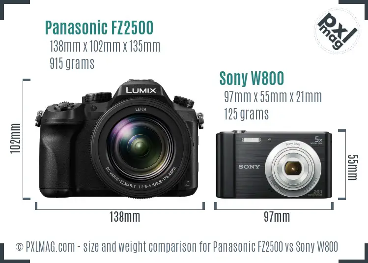 Panasonic FZ2500 vs Sony W800 size comparison