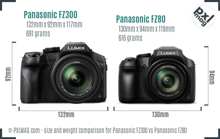 Panasonic FZ300 vs Panasonic FZ80 size comparison