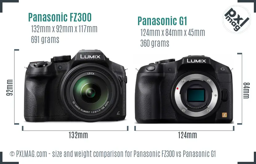 Panasonic FZ300 vs Panasonic G1 size comparison
