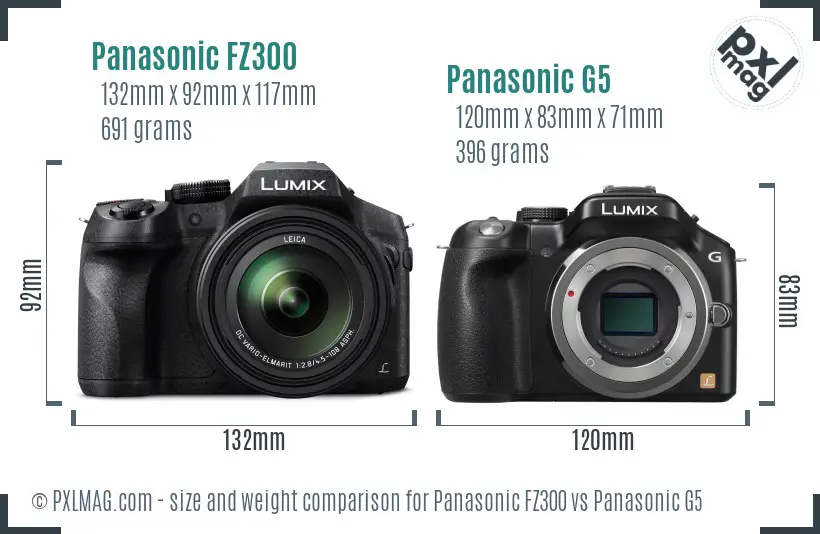 Panasonic FZ300 vs Panasonic G5 size comparison