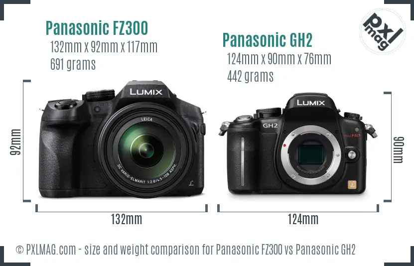 Panasonic FZ300 vs Panasonic GH2 size comparison