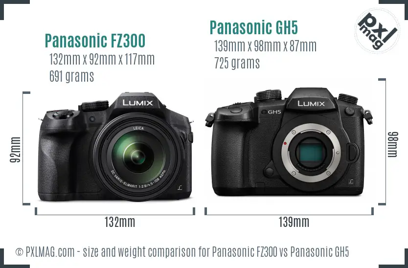 Panasonic FZ300 vs Panasonic GH5 size comparison